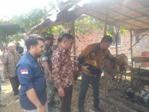 Kabar Gembira, Launching Pasar Hewan Di Kabupaten Penukal Abab Lematang Ilir