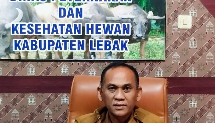 Dinas Peternakan dan Kesehatan Hewan Pastikan Hewan Kurban di Lebak Aman, Sehat, Utuh dan Halal 