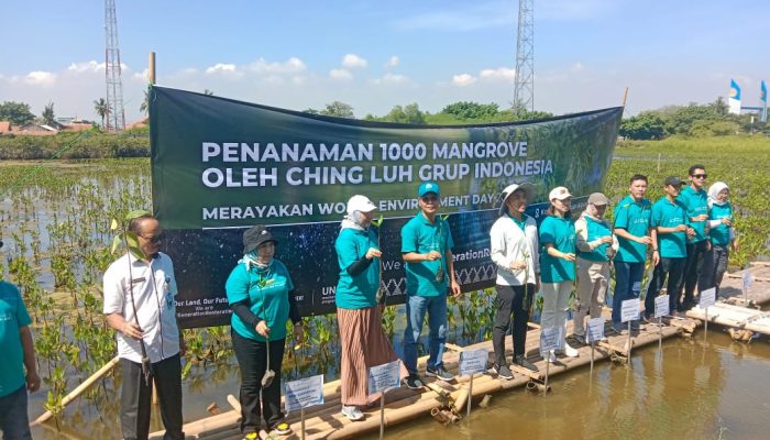 Ching Luh Group Indonesia Rayakan Hari Lingkungan Hidup Sedunia, Tanam Pohon Mangrove 1.000 Batang