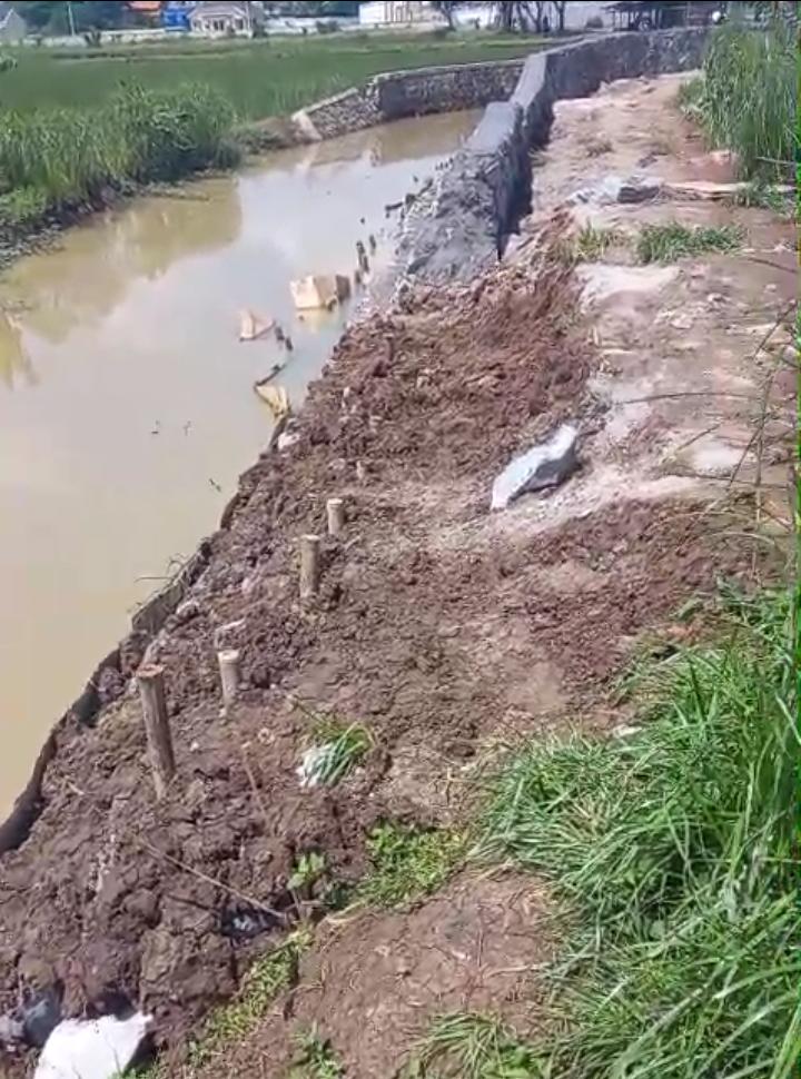 Kondisi Pekerjaan Pembangunan Perkuat Tebing Saluran Pembuang Citanjakan, Lok. Kec Rajeg TA. 2024. Kamis, (2/1/2025).